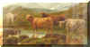 Highland Cattle.jpg (46526 bytes)